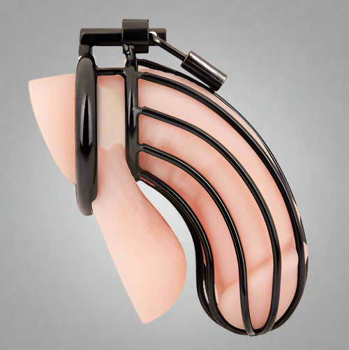 Cloud 9 Lingerie | Adult Toys for Men in corpus Christi | BLUE LINE PRISONER COCK CAGE