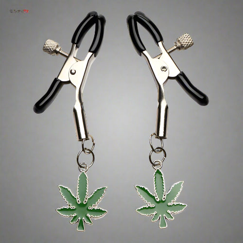 Cloud 9 Lingerie | Adult Toys in Corpus Christi | CELEBRATE 420 NIPPLE CLAMPS