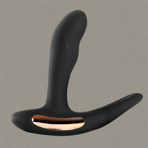 Cloud 9 Lingerie | Sex Toy Store in Corpus Christi | RENEGADE PROSTATE MASSAGER WITH REMOTE CONTROL