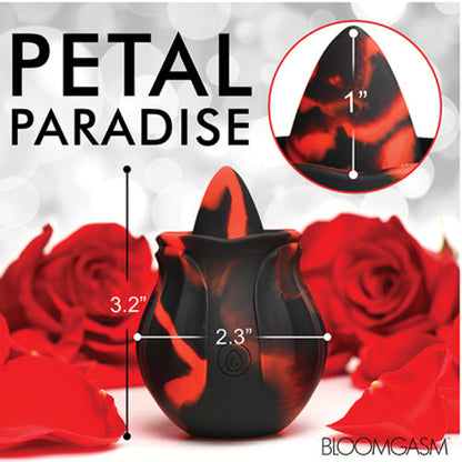 Cloud 9 Lingerie | Adult Toy Store for Loves | Bloomgasm Black Kiss 10X Rimming Clit Stimulator - Black