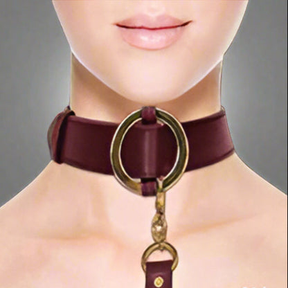 Cloud 9 Lingerie | Sexy BDSM Adult Toys in Corpus Christi | BURGUNDY COLLAR AND LEASH SET