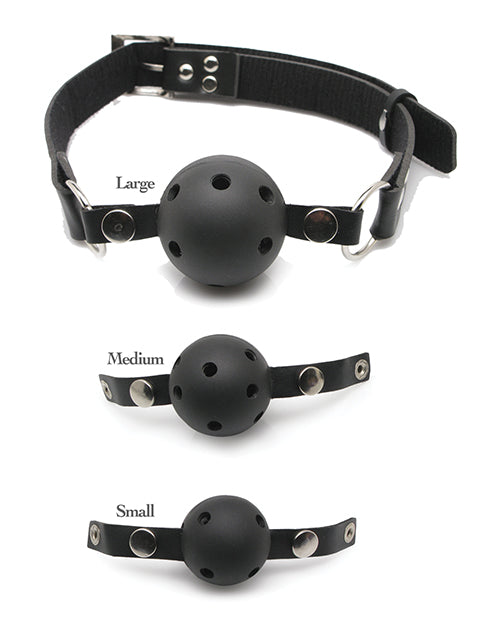 BALL GAG TRAINING SYSTEM