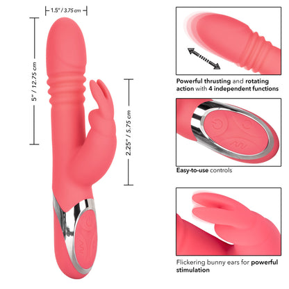 Cloud 9 Lingerie | Corpus Christi Adult Toy Store | Enchanted Exited Rechargeable Vibrating Rabbit | $99.99