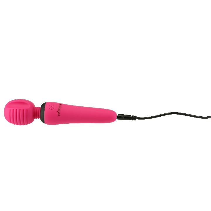 Cloud 9 Lingerie | Corpus Christi Adult Toy Store | PALMPOWER GROOVE MASSAGER WAND